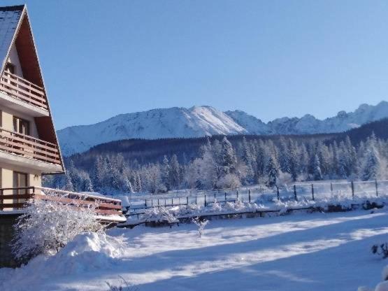 Willa Marysienka Bed & Breakfast Zakopane Exterior foto